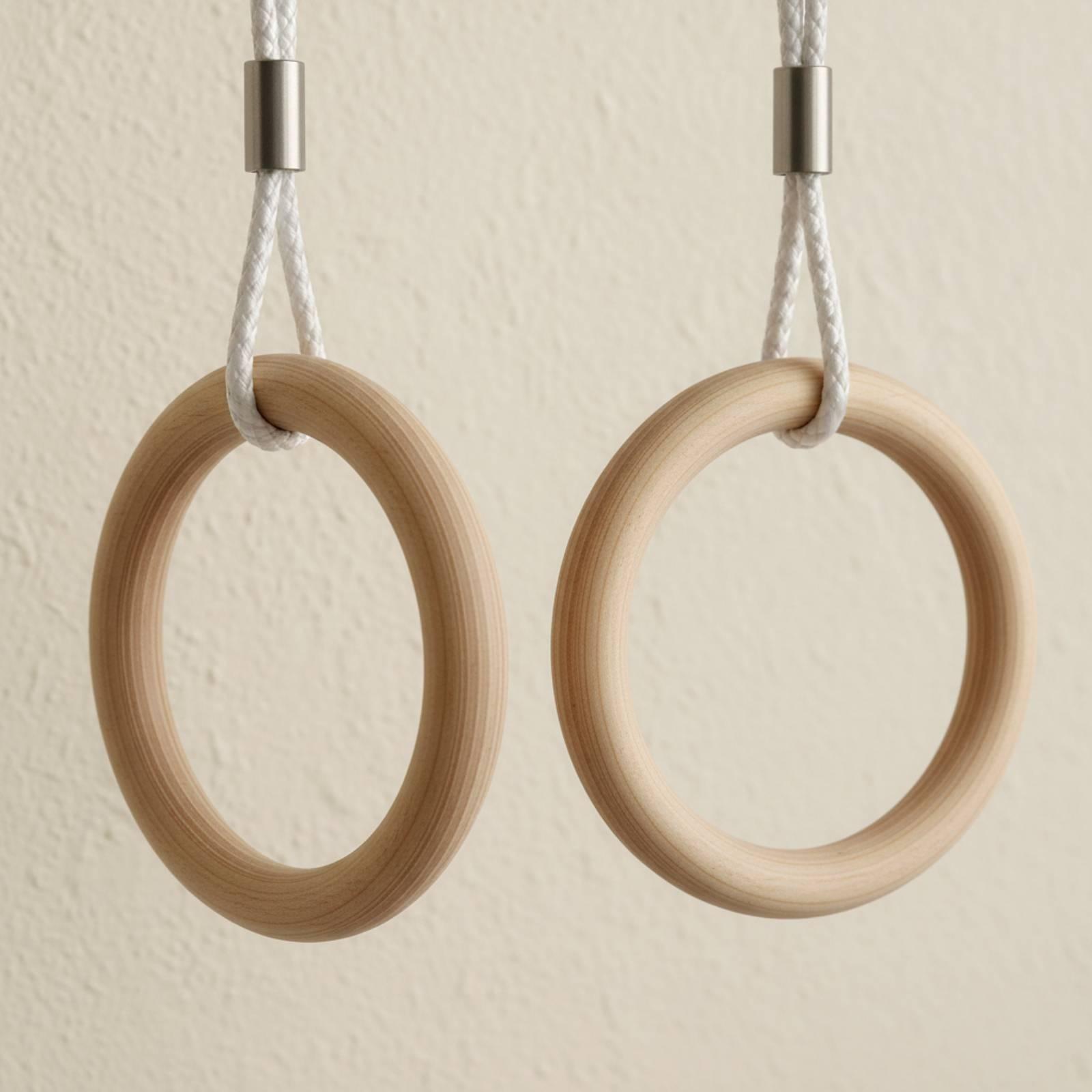 Anéis de Ginástica Ajustáveis  - Gymnastic Ring avaliação e preço